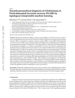 Towards personalized diagnosis of Glioblastoma in Fluid-attenuated
  inversion recovery (FLAIR) by topological interpretable machine learning