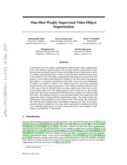 One-Shot Weakly Supervised Video Object Segmentation
