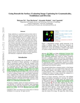 Going Beneath the Surface: Evaluating Image Captioning for
  Grammaticality, Truthfulness and Diversity