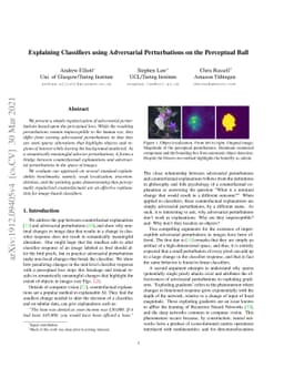 Explaining Classifiers using Adversarial Perturbations on the Perceptual
  Ball