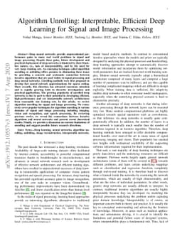 Algorithm Unrolling: Interpretable, Efficient Deep Learning for Signal
  and Image Processing