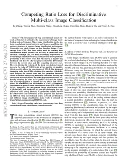 Competing Ratio Loss for Discriminative Multi-class Image Classification