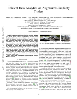 Efficient Data Analytics on Augmented Similarity Triplets