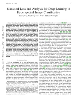 Statistical Loss and Analysis for Deep Learning in Hyperspectral Image
  Classification