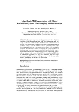 Infant brain MRI segmentation with dilated convolution pyramid
  downsampling and self-attention