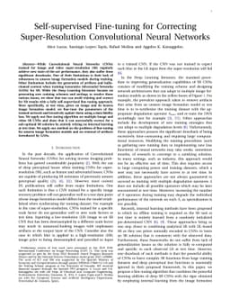 Self-supervised Fine-tuning for Correcting Super-Resolution
  Convolutional Neural Networks