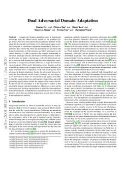 Dual Adversarial Domain Adaptation