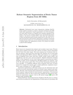 Robust Semantic Segmentation of Brain Tumor Regions from 3D MRIs