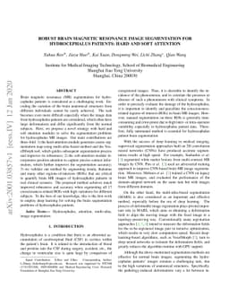 Robust Brain Magnetic Resonance Image Segmentation for Hydrocephalus
  Patients: Hard and Soft Attention