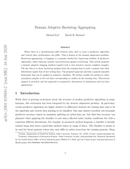Domain Adaptive Bootstrap Aggregating