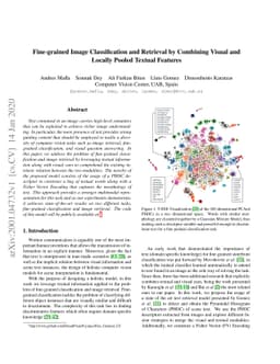 Fine-grained Image Classification and Retrieval by Combining Visual and
  Locally Pooled Textual Features