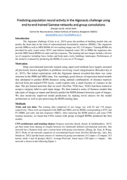 Predicting population neural activity in the Algonauts challenge using
  end-to-end trained Siamese networks and group convolutions