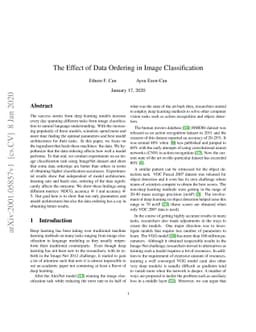 The Effect of Data Ordering in Image Classification