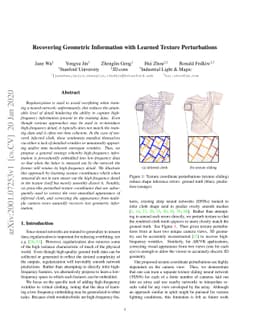 Recovering Geometric Information with Learned Texture Perturbations