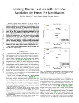 Learning Diverse Features with Part-Level Resolution for Person
  Re-Identification
