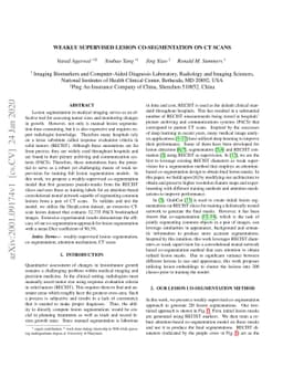 Weakly Supervised Lesion Co-segmentation on CT Scans
