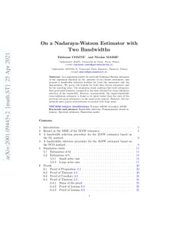 On a Nadaraya-Watson Estimator with Two Bandwidths
