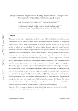 Image Embedded Segmentation: Uniting Supervised and Unsupervised
  Objectives for Segmenting Histopathological Images