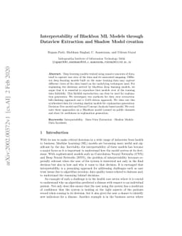 Interpretability of Blackbox Machine Learning Models through Dataview
  Extraction and Shadow Model creation