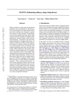 DANCE: Enhancing saliency maps using decoys