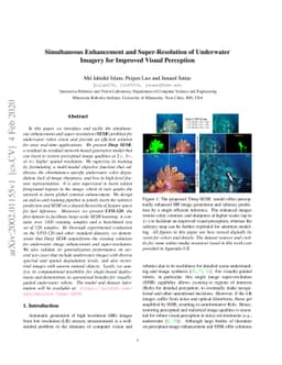 Simultaneous Enhancement and Super-Resolution of Underwater Imagery for
  Improved Visual Perception