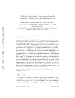 Pixel-wise Conditioned Generative Adversarial Networks for Image
  Synthesis and Completion