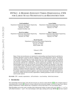 DVNet: A Memory-Efficient Three-Dimensional CNN for Large-Scale
  Neurovascular Reconstruction