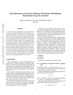 iqiyi Submission to ActivityNet Challenge 2019 Kinetics-700 challenge:
  Hierarchical Group-wise Attention