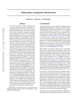 Robust binary classification with the 01 loss