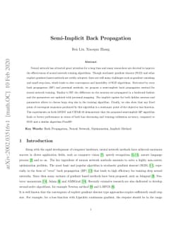 Semi-Implicit Back Propagation