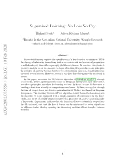 Supervised Learning: No Loss No Cry