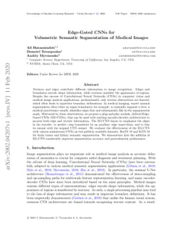 Edge-Gated CNNs for Volumetric Semantic Segmentation of Medical Images