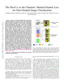 The Devil is in the Channels: Mutual-Channel Loss for Fine-Grained Image
  Classification