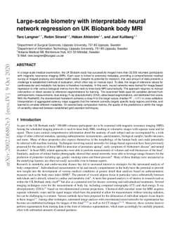 Large-scale biometry with interpretable neural network regression on UK
  Biobank body MRI