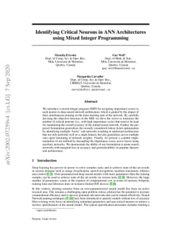 Identifying Critical Neurons in ANN Architectures using Mixed Integer
  Programming
