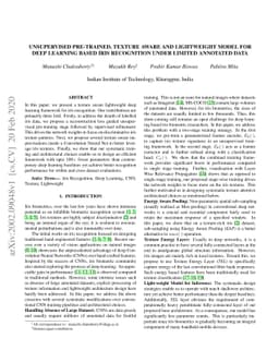 Unsupervised Pre-trained, Texture Aware And Lightweight Model for Deep
  Learning-Based Iris Recognition Under Limited Annotated Data