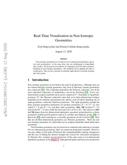 Real-Time Visualization in Non-Isotropic Geometries