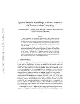 Injective Domain Knowledge in Neural Networks for Transprecision
  Computing