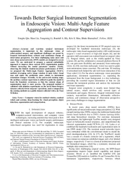 Towards Better Surgical Instrument Segmentation in Endoscopic Vision:
  Multi-Angle Feature Aggregation and Contour Supervision