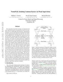 NestedVAE: Isolating Common Factors via Weak Supervision