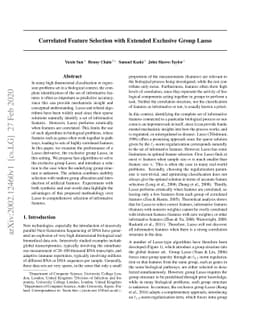 Correlated Feature Selection with Extended Exclusive Group Lasso