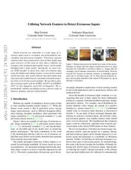 Utilizing Network Properties to Detect Erroneous Inputs