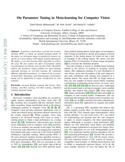 On Parameter Tuning in Meta-learning for Computer Vision