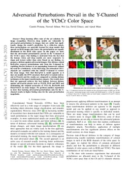 Adversarial Perturbations Prevail in the Y-Channel of the YCbCr Color
  Space