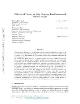 Differential Privacy at Risk: Bridging Randomness and Privacy Budget