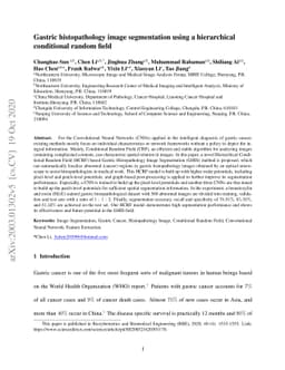 Gastric histopathology image segmentation using a hierarchical
  conditional random field