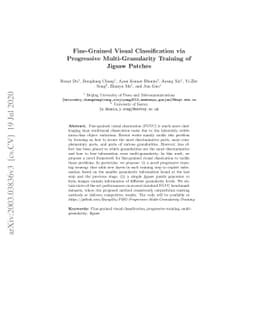 Fine-Grained Visual Classification via Progressive Multi-Granularity
  Training of Jigsaw Patches