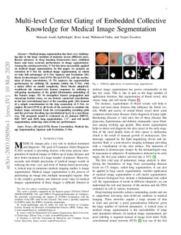 Multi-level Context Gating of Embedded Collective Knowledge for Medical
  Image Segmentation