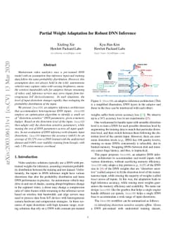 Partial Weight Adaptation for Robust DNN Inference
