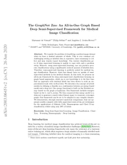 The GraphNet Zoo: An All-in-One Graph Based Deep Semi-Supervised
  Framework for Medical Image Classification